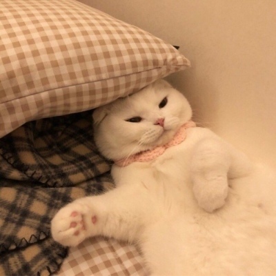 中国品牌日“福见福品”系列报道：福建制造业品牌向“智”生长